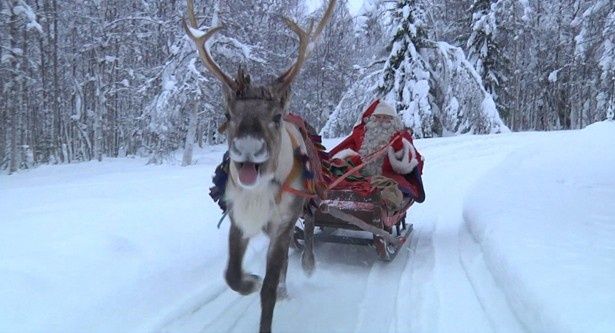 【写真を見る】トナカイとソリもイメージどおり！これがサンタクロースの出勤風景!?