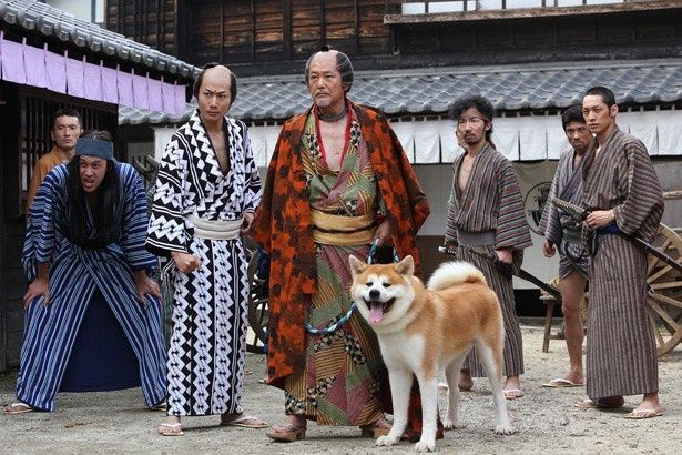 犬派の勢力に連れられて登場する秋田犬はコンテストで日本一を獲得した経験もある将