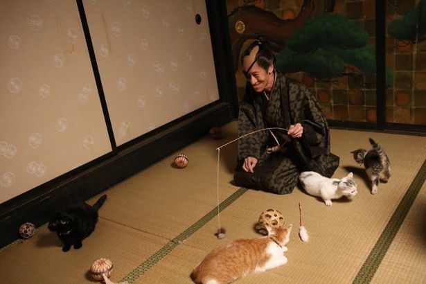 斎藤洋介が演じる猫派の親分がご満悦の表情を浮かべる
