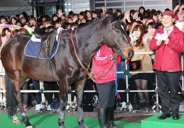 馬の登場に上島竜兵もにっこり