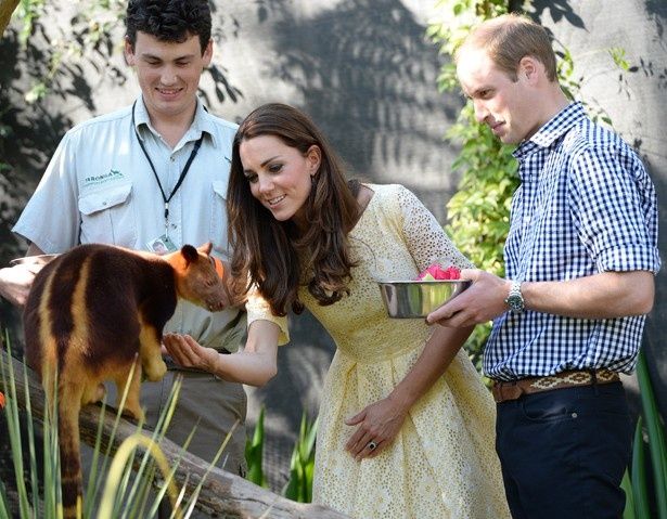 王子31歳、キャサリン妃32歳