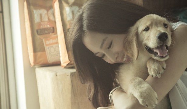 こんな犬がいたら飼いたい 台湾のゴールデン レトリバーが可愛いと話題 最新の映画ニュースならmovie Walker Press