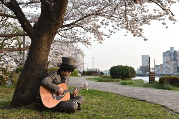 Nakajinも桜の下でギターを弾く