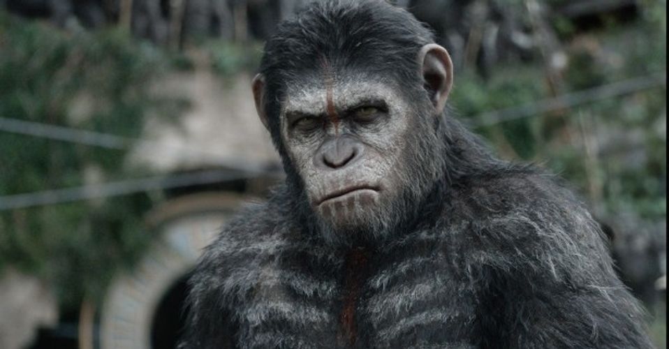 映画館に隠れた猿がクーポンを配ってる!?iBeaconを使った新たなキャンペーンに驚き！