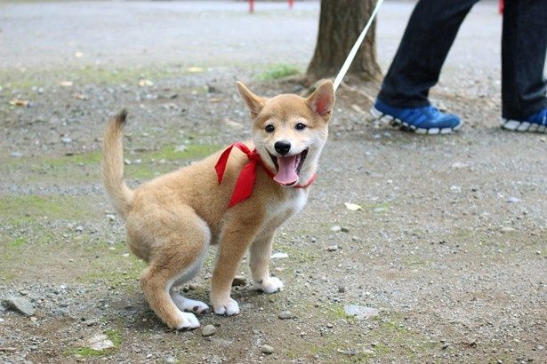 何度も“キメ顔”で振り向く一郎