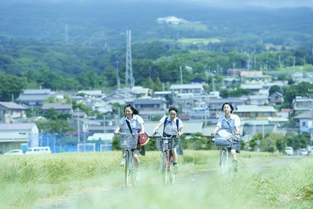 劇作家・演出家の平田オリザの同名小説を原作にしている