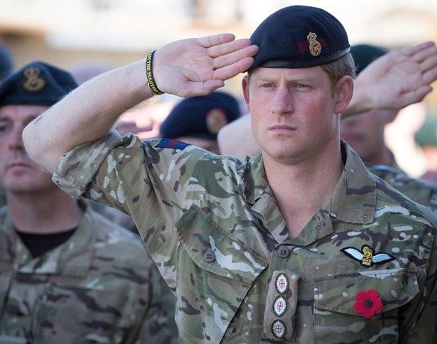 【写真を見る】英空軍での経験を持つヘンリー王子