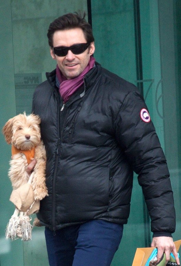 【写真を見る】愛犬を抱いて散歩するヒュー・ジャックマン