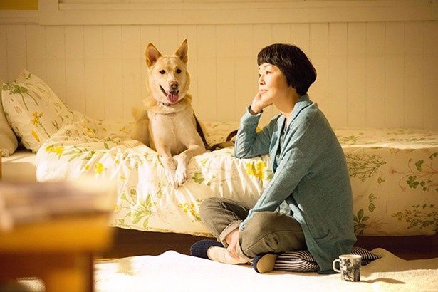 映画『犬に名前をつける日』は10月31日(土)よりシネスイッチ銀座ほかで全国順次ロードショー