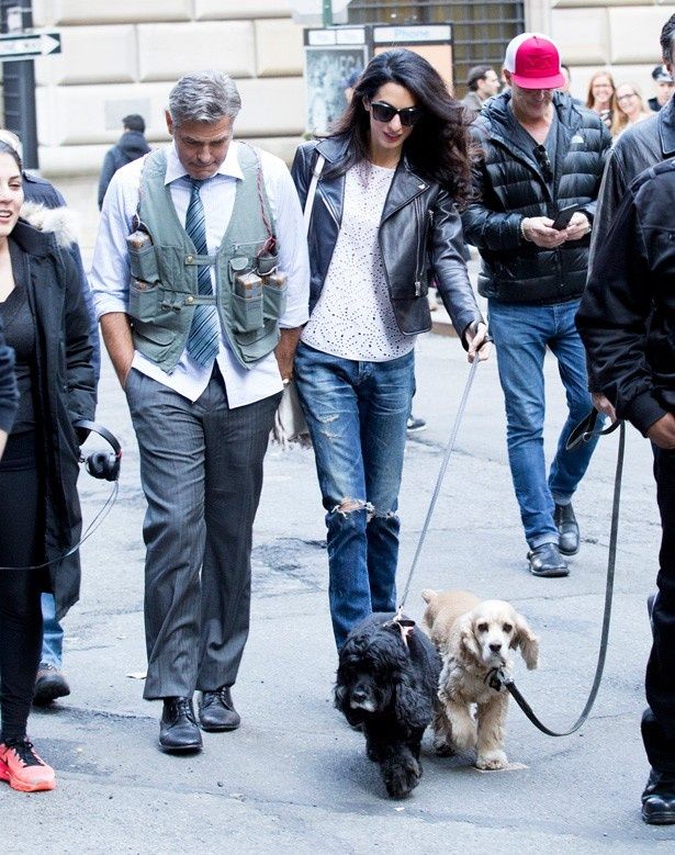 【写真を見る】犬を連れて歩くジョージとアマル