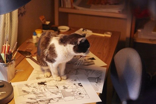 ミツオが描いた漫画の上でくつろぎタイムにゃ～