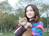 大きくなってもカワイイ 幼獣マメシバ 主役犬が成長した姿って 画像3 6 Movie Walker Press