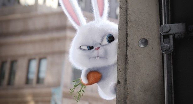 ウサギのスノーボールは怪しい表情