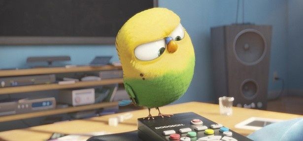 セキセイインコのスイートピーはTVのリモコンで何をする？