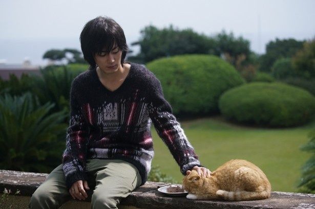 【写真を見る】間宮祥太朗扮する和正が、愛猫のヨシマサを撫でる