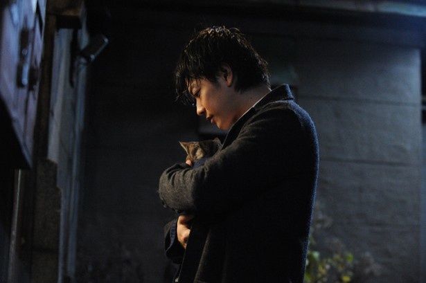 【写真を見る】愛猫のキャベツを抱きかかえる佐藤健