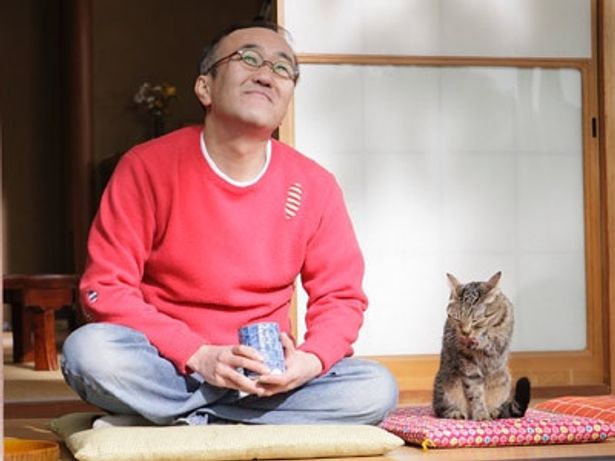 本作「ぬくぬく」は、愛猫しまと山田さんの心温まる物語