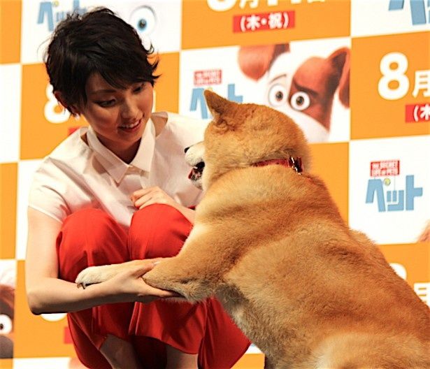 柴犬まるちゃん、家入レオになつきまくり！