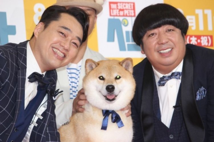 バナナマン、柴犬まるちゃんの可愛さと貫禄にメロメロ