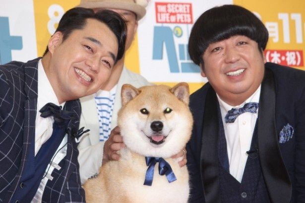 バナナマンが柴犬まるちゃんと対面