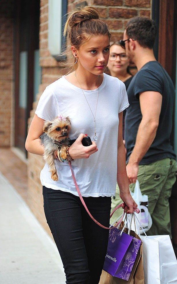 アンバーとジョニーは昨年オーストラリアに愛犬を無断で連れ込み、密輸罪に問われていた