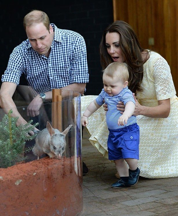 【写真を見る】2014年にオーストラリアを訪問し、動物園で愛らしい姿を見せたジョージ王子
