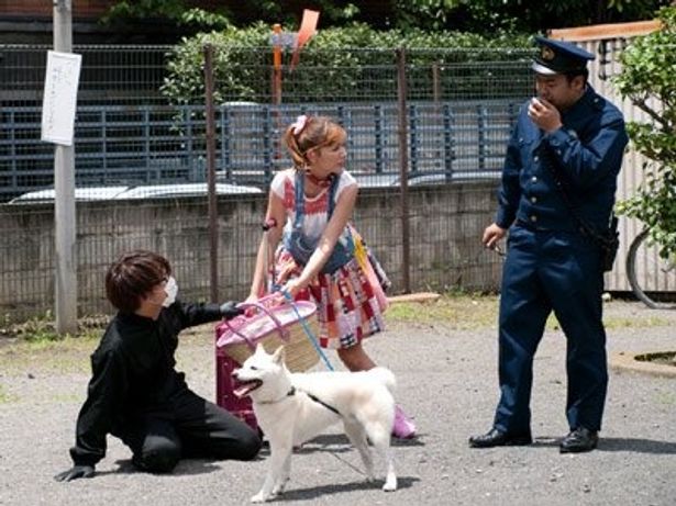 熊本からやって来たすぐりは、上京した途端トラブルに遭遇