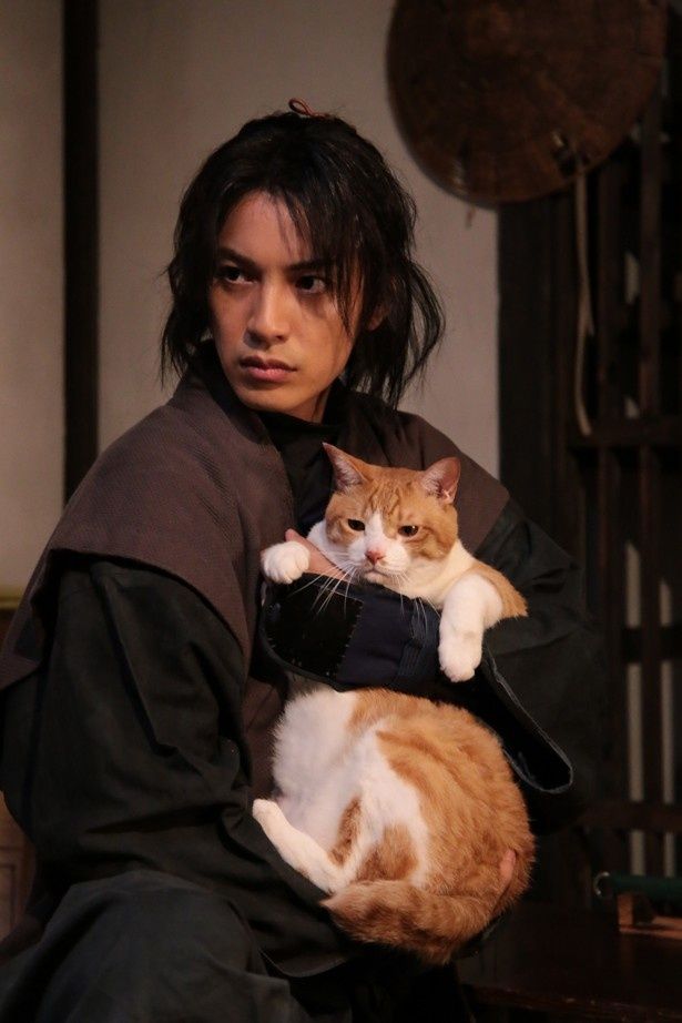 劇場版『猫忍』は17年に全国公開される予定
