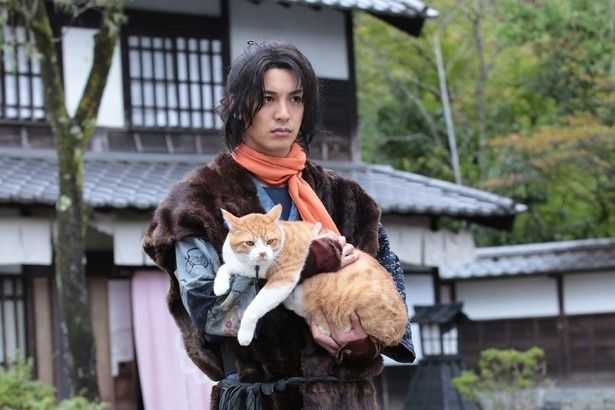 『猫忍』は5月20日(土)公開