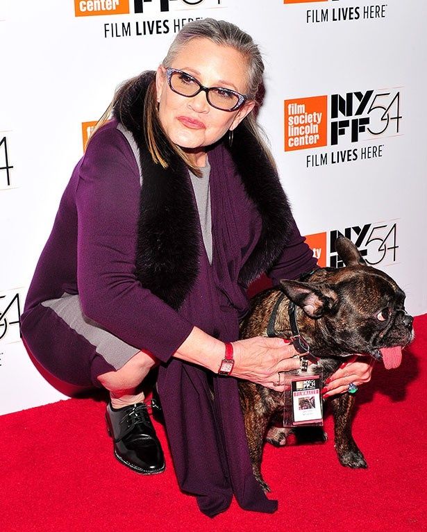 キャリー・フィッシャーと愛犬のブルドッグ、ギャリ―