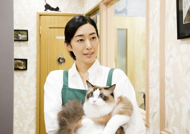 木村多江はペットショップの店員・洋子役で出演